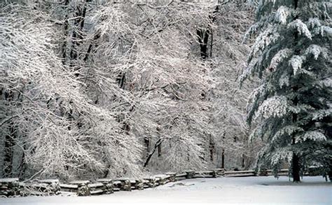 The 10 Best Winter Hikes In Indiana To Do This Season