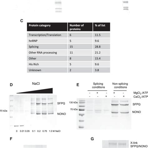 Purification And Characterization Of The Sfpqnono Complex A