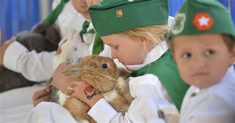 Animal Showmanship Competition Kicks Off Day 2 At County Fair