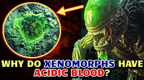 Why Do Xenomorphs Have Acidic Blood And How It Reacts With Their