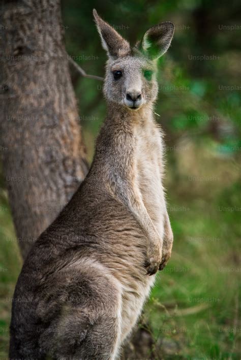 Links Archives Naked Capitalism