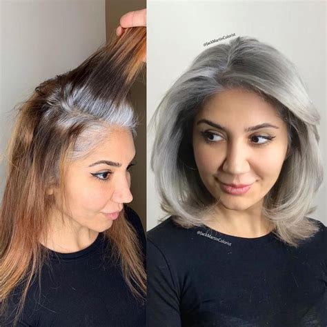 Épinglé Sur Transition To Gray Hair