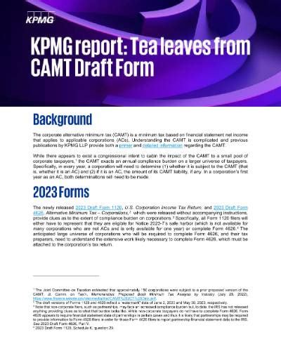 Kpmg Report Draft Forms Provide Insight Kpmg United States