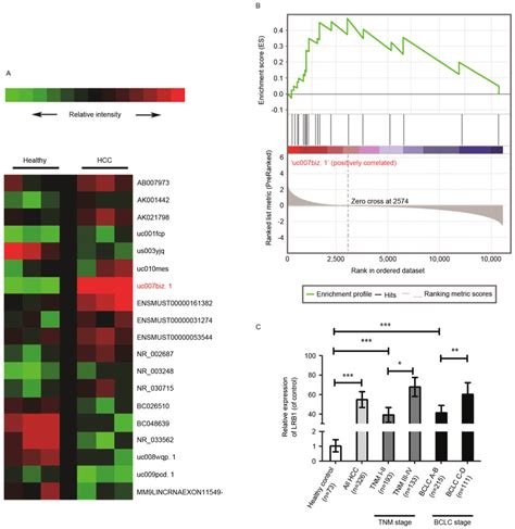 Expression Levels Of Serum Lncrnas In Patients With Hcc A The