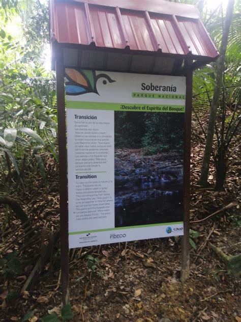 Se Actualiza La Se Al Tica Del Sendero Esp Ritu Del Bosque Miambiente