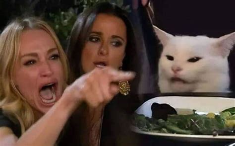 Historia Y Origen Del Meme Del Gato En La Mesa Y La Mujer Gritando