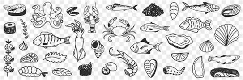 Premium Vector Seafood Icons Set In Round Circle Flat Style Sea