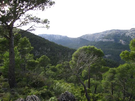 Parc régional de Sierra Espuña, Totana location de vacances à partir de