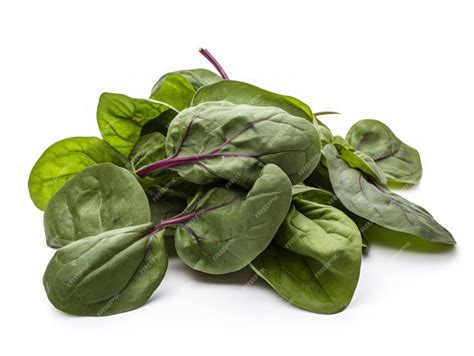 Ceylon Spinach Benefits 3