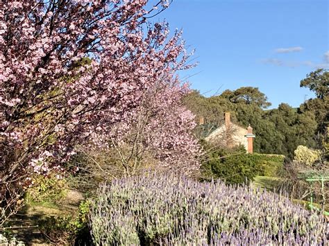 olives garden restaurant 10