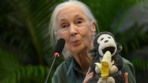 Forscherin Jane Goodall ist tot