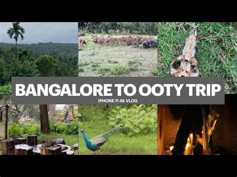 Bangalore To Ooty Road Trip A Short One Day Trip To Ooty Ooty 4K