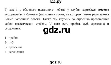 ГДЗ параграфы 13 биология 6 класс рабочая тетрадь Пасечник, Суматохин