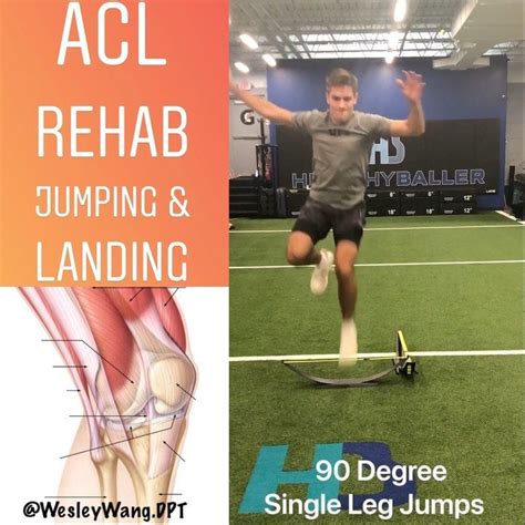 Dr Wesley Wang Pt Dpt On Instagram “acl Rehab Plyometrics —— Jumping And Landing Are A