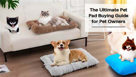 ultimate pet pad buying guide  pet owners ownkoti