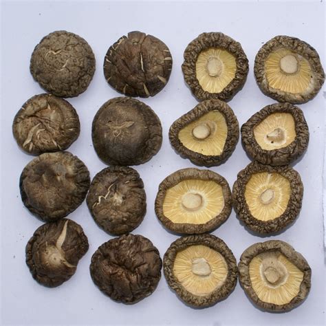 Wholesale Price Dried Black Shiitake Mushrooms Thatshop