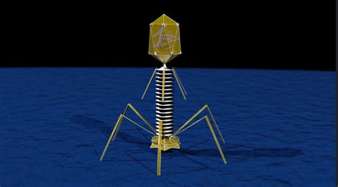 Bacteriophage Virus Animation