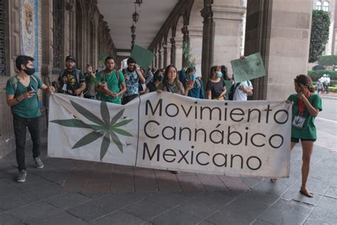 México Avanza Para Legalizar El Consumo De Cannabis Un Paso Modesto