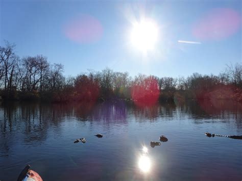 DSC03262 – In a Jersey Swamp