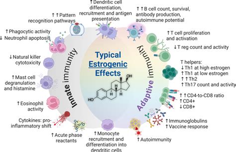Immune Dynamics Throughout Life In Relation To Sex Hormones And Perspectives Gained From Gender
