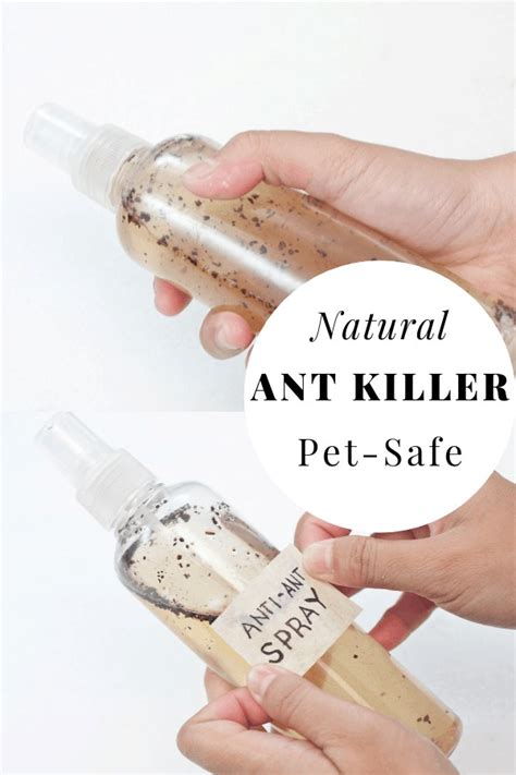 DIY Natural Ant Killer - Pet safe indoor homemade ant killer