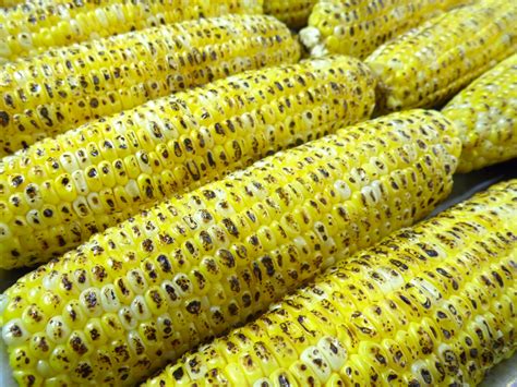 corn grilled corn  maize  corn kernels ears  hd wallpaper