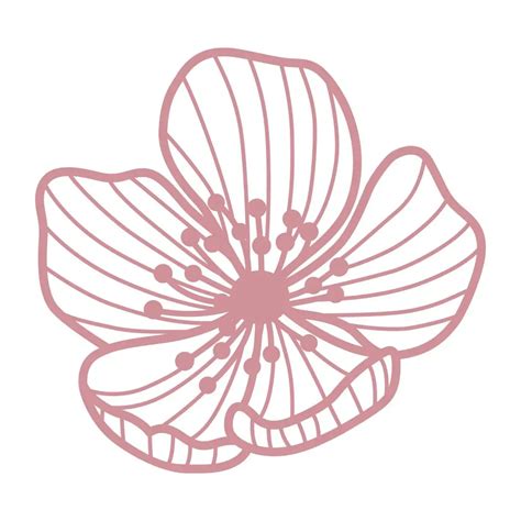 Semi Naked Chocolate Cake Eleven Eleven Wellness Bakery