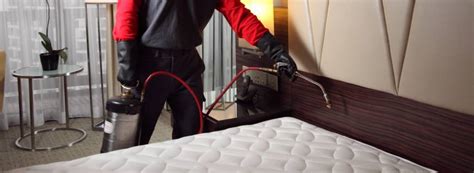 Bed Bugs Control Services Enviroban Pest Control