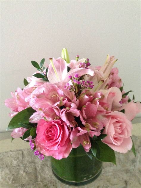 Cuddly Pinks Collection: Embrace Warmth and Elegance with Burst of Class