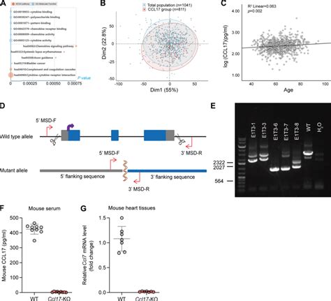 Chemokine CCL17 exhibited an age-dependent increase and generation and ...