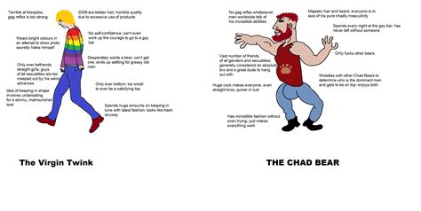 Virgin Vs Chad Gay Edition R Virginvschad