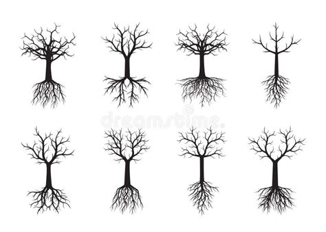 Black Naked Tree With Roots Vector Illustration Stock Illustration Illustration Of Roots