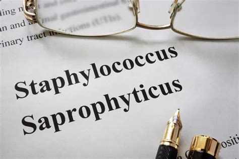 Saprophyticus Pictures, Saprophyticus Stock Photos & Images ...