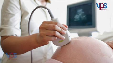 Fetal Echocardiography YouTube