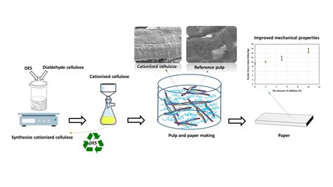 Cationized dialdehyde cellulose synthesized with deep eutectic-like ...