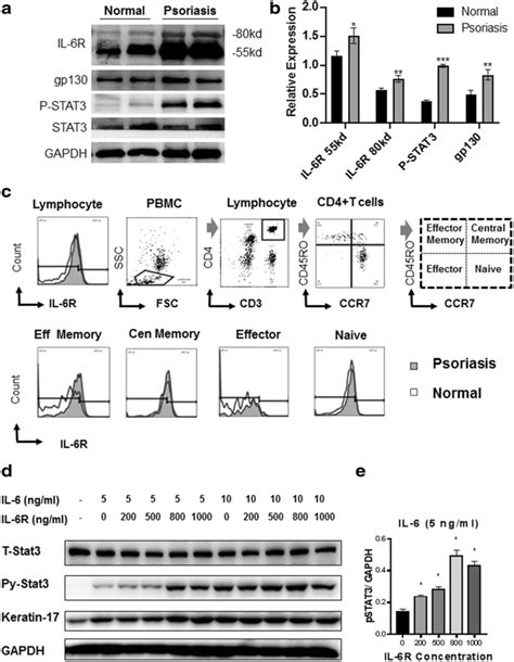 Increased Expression Of Il 6r And Enhanced Activation Of The Stat3 Download Scientific Diagram