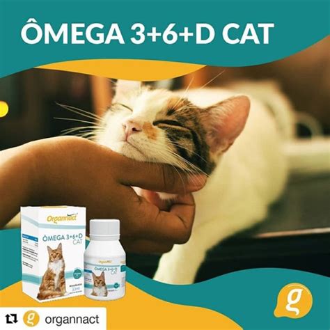 Omega D Cat Ml Organnact Parcelamento Sem Juros