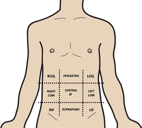 Abdominal Examination Oscestop Osce Learning