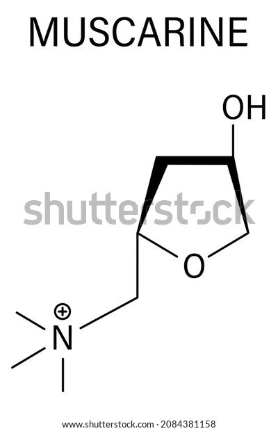 Muscarine Mushroom Toxin Molecule Agonist Muscarinic Stock Vector