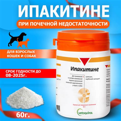 Ипакитине 60г. для собак и кошек купить на OZON по низкой цене (1633739804)