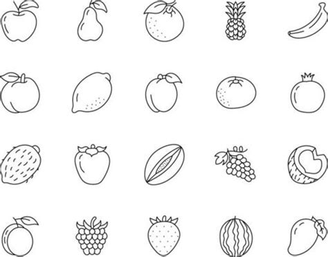 Fruit Line Drawing Vector Art Icons And Graphics For Free Download