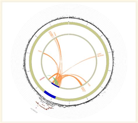 Circo Plot Displaying Eqtl And Chromatin Interaction For The Risk