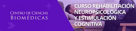 Curso Rehabilitación Neuropsicológica Y Estimulación Cognitiva Um