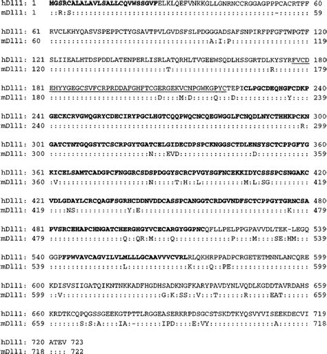 Predicted Amino Acid Sequence Of Human Delta Like 1 Alignment Of