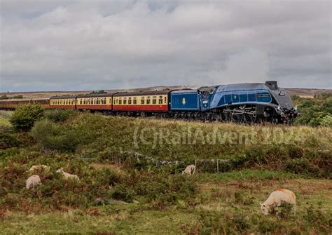 Light Engine Movement Railadvent