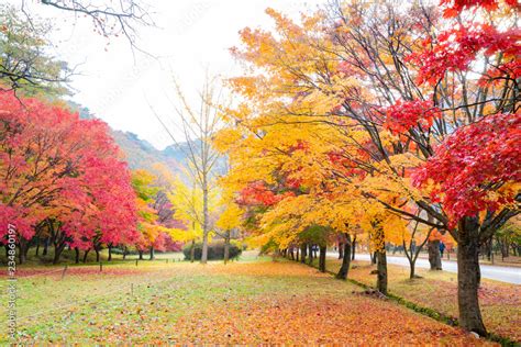 톱 707 가을 풍경 업데이트 1 분 전