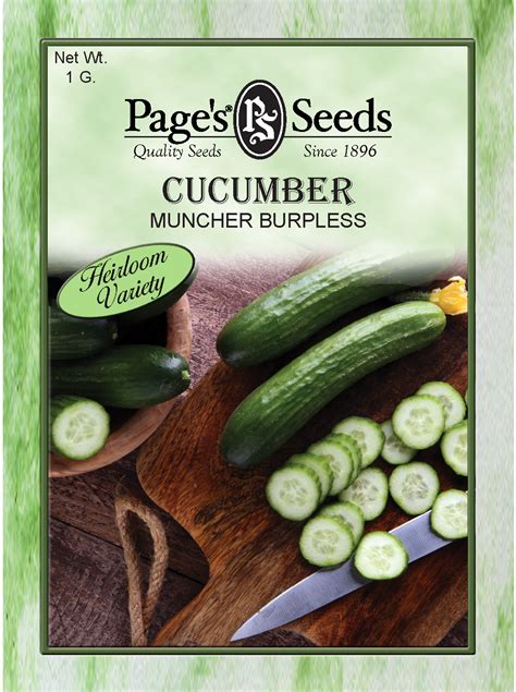 Cucumber Muncher Burpless The Page Seed Company Inc