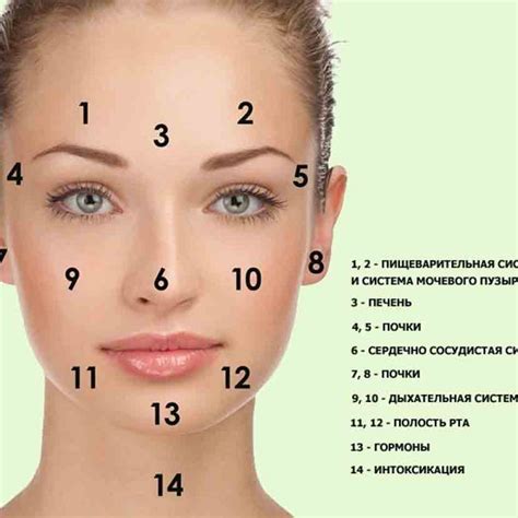 Причины появления и способы устранения прыщей на лице? О чем говорят ...