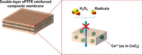 Double Layer Expanded Polytetrafluoroethylene Reinforced Membranes With