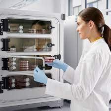 Eppendorf Cellxpert Co Incubators C And C I